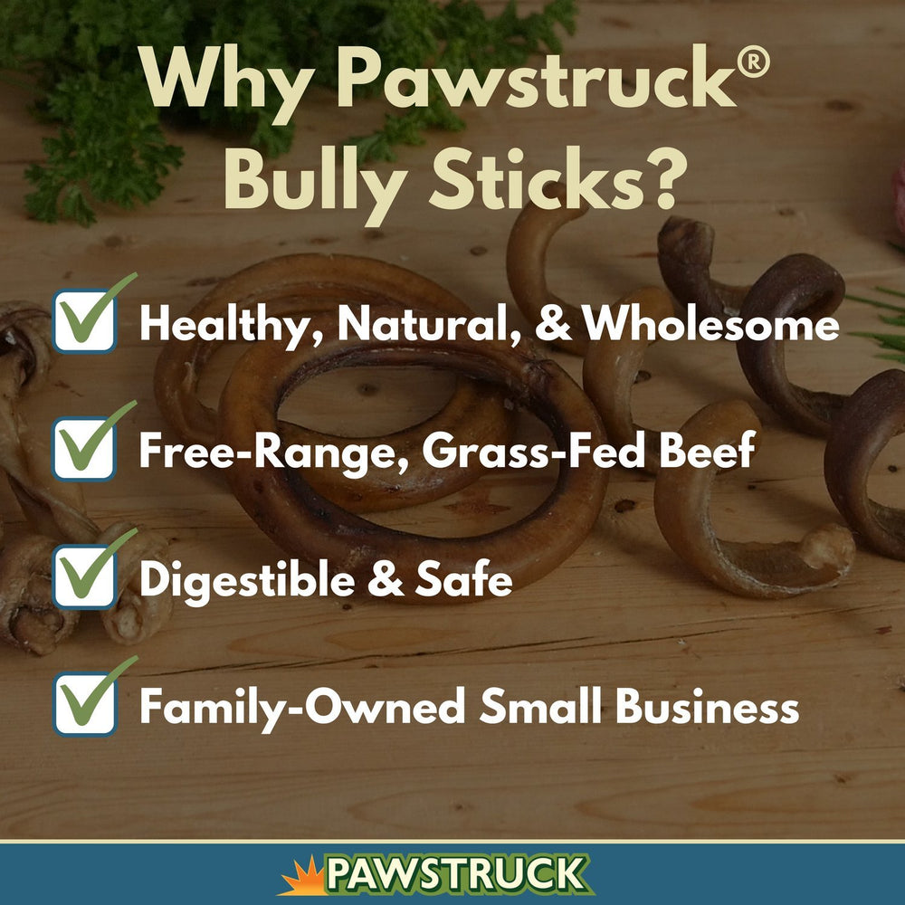 Pawstruck bully stick rings 100% beef ingredients for savory dog chew