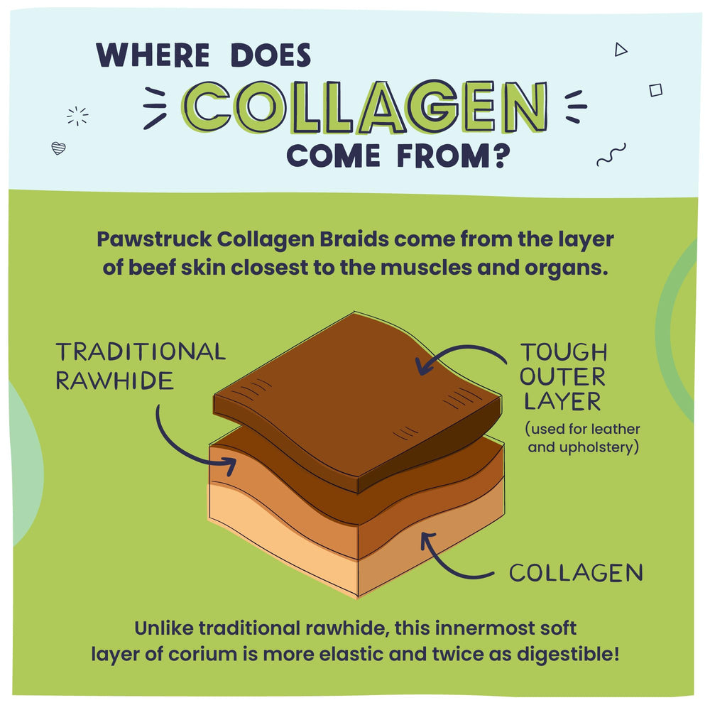 Pawstruck collagen braids dental-chew action supports gum massage.