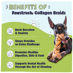 Pawstruck collagen braids pack, multiple chews ready for use.