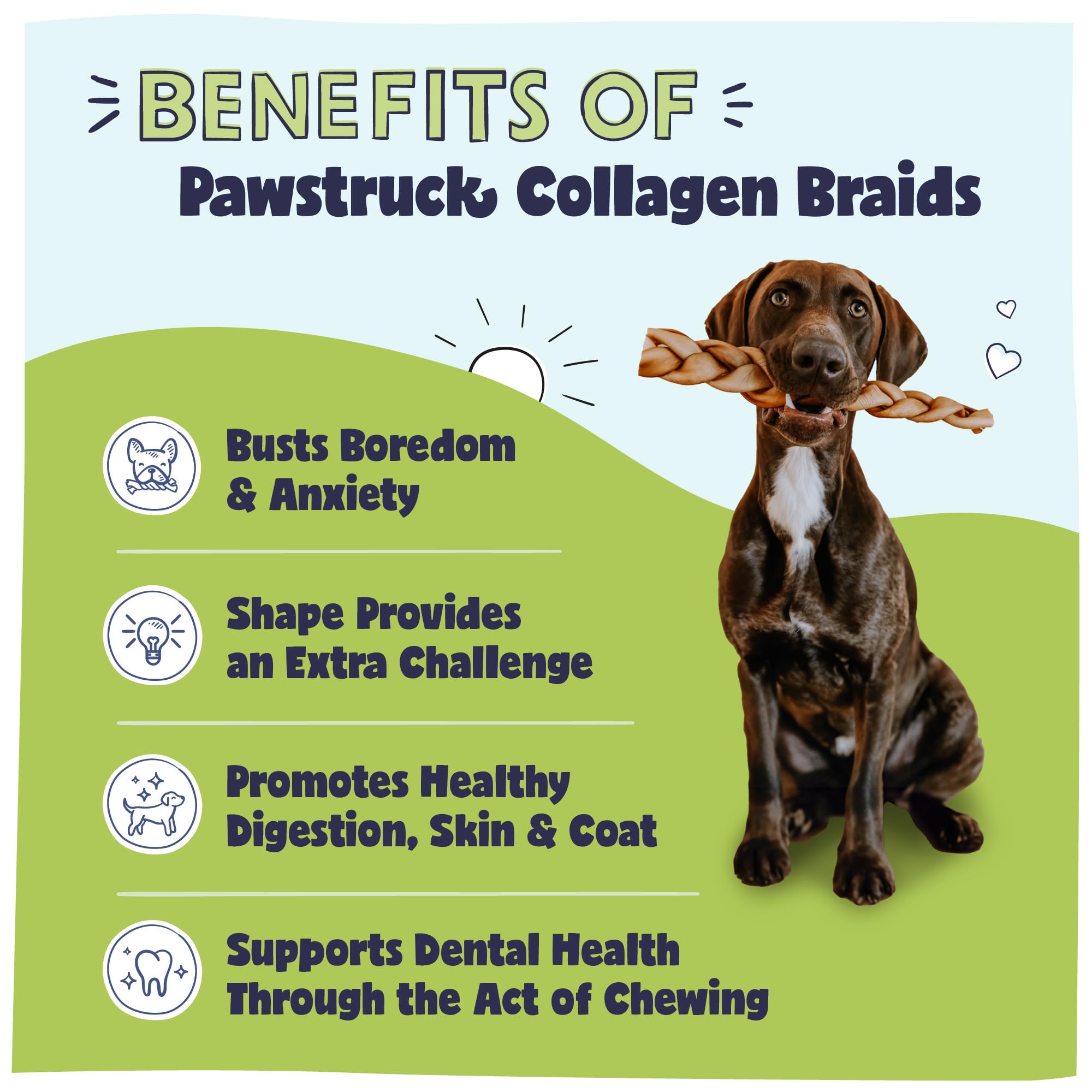 Pawstruck collagen braids texture closeup for tasty single-ingredient chew.
