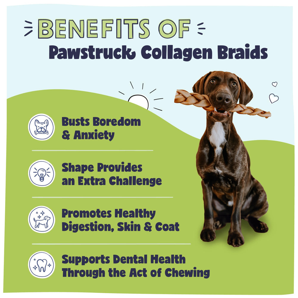 Pawstruck collagen braids texture closeup for tasty single-ingredient chew.