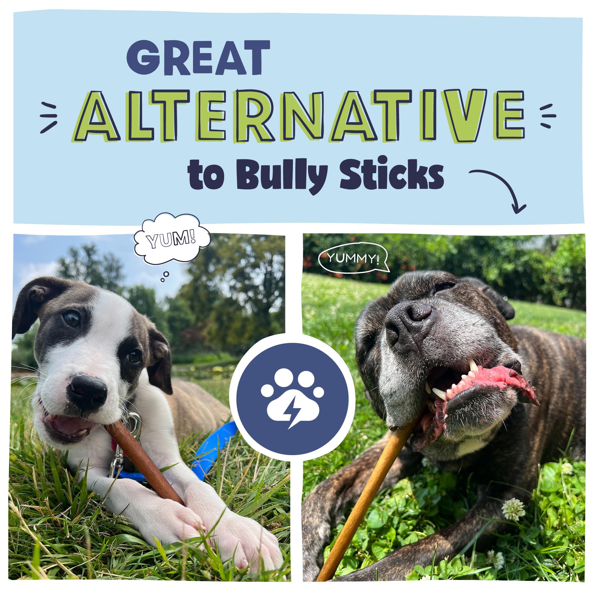 Pawstruck collagen stick pack shot featuring multiple sticks in a bag
