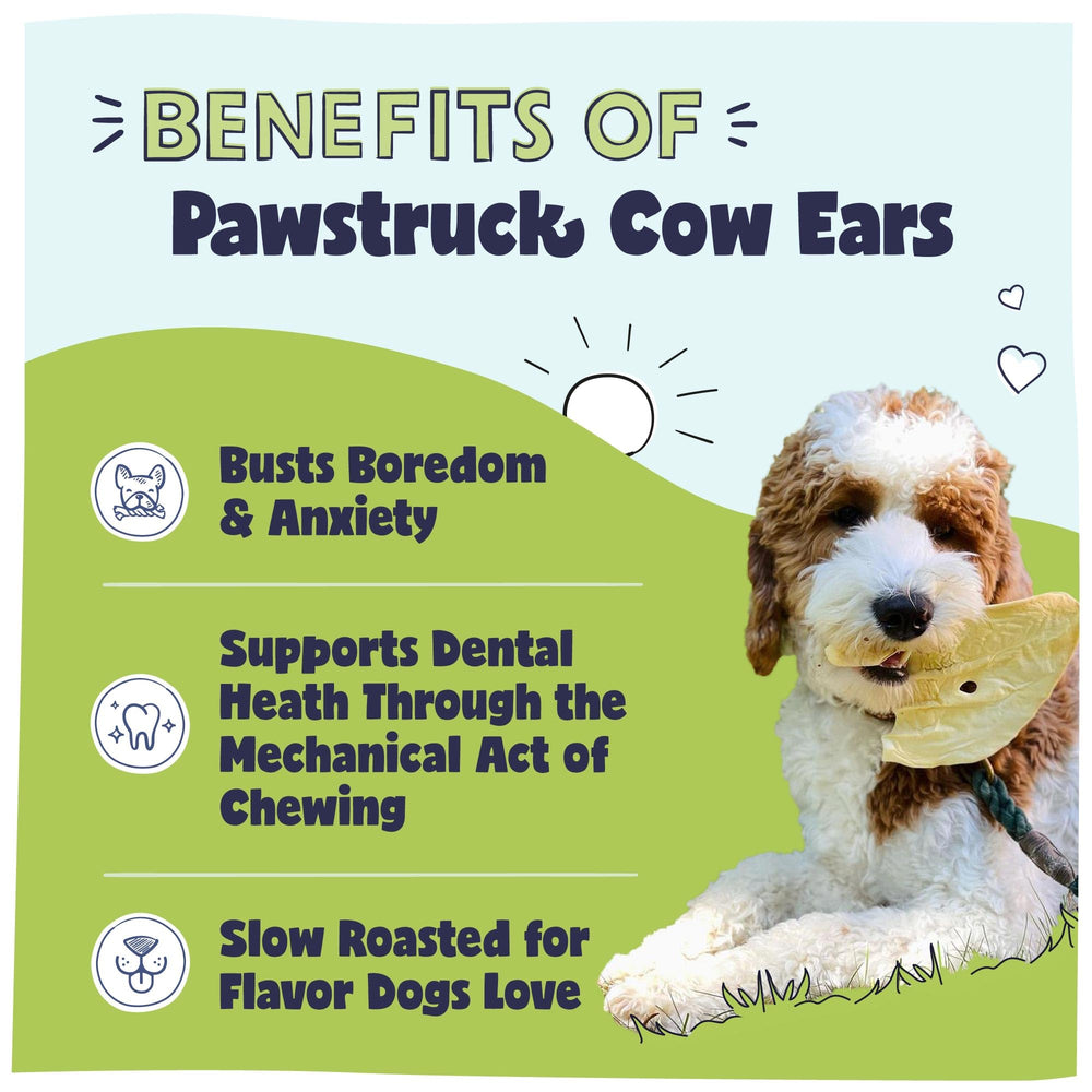 Pawstruck cow ears thick-cut chew offers satisfying bite for hours of canine engagement