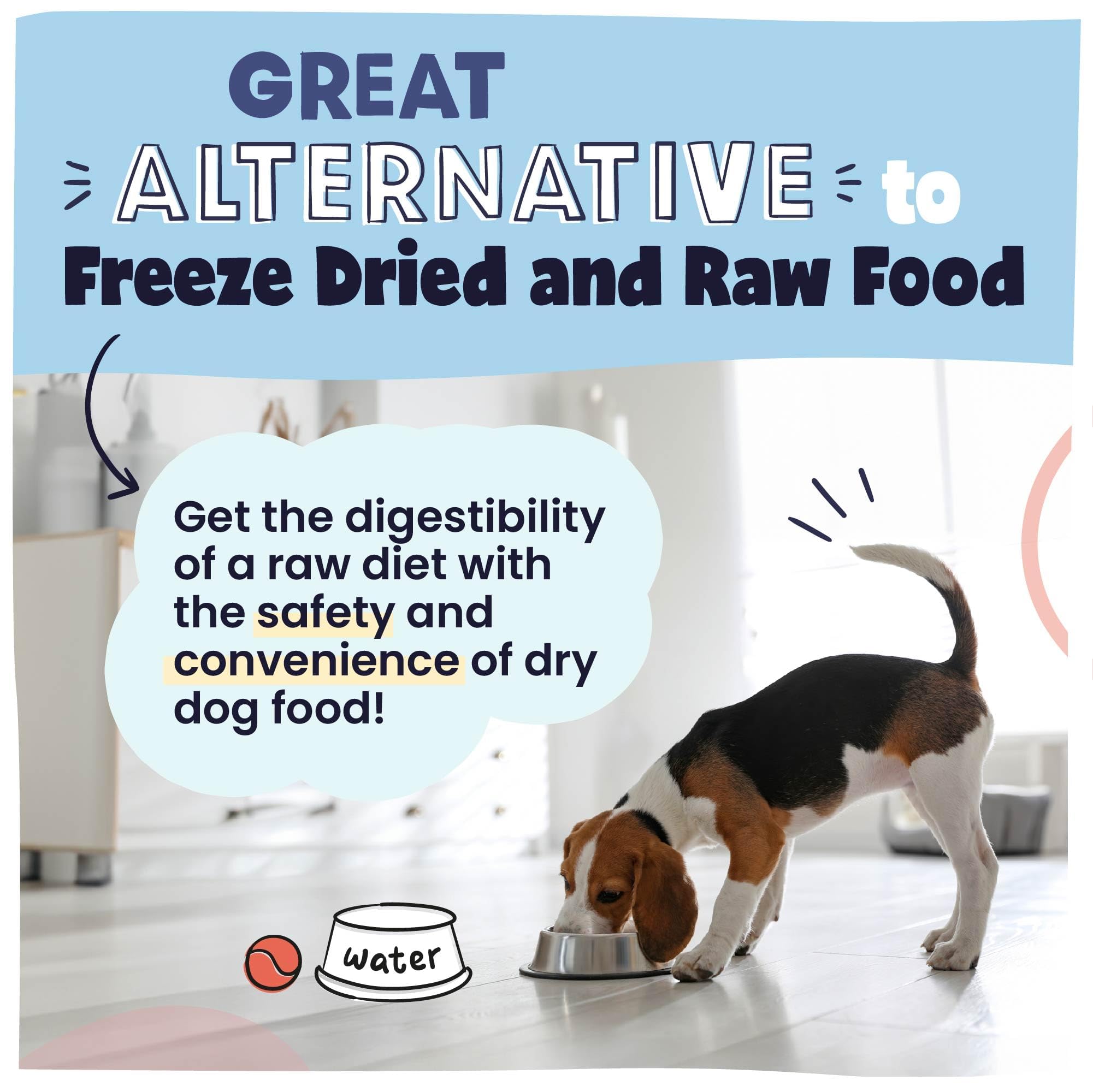 Pawstruck grain-free dog food meal setup invites balanced feeding.