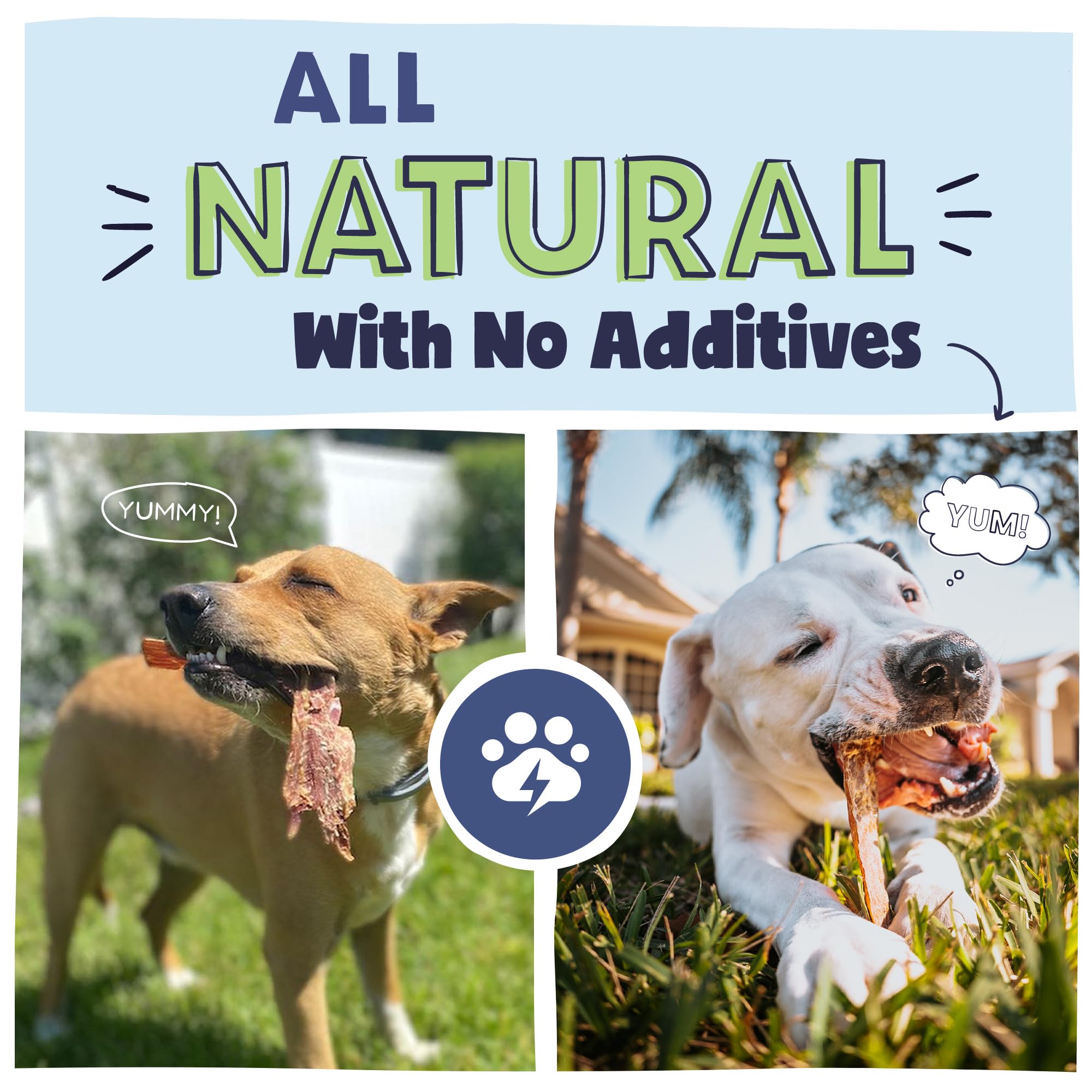 Pawstruck grass-fed beef jerky emphasizing quality sourcing and flavor