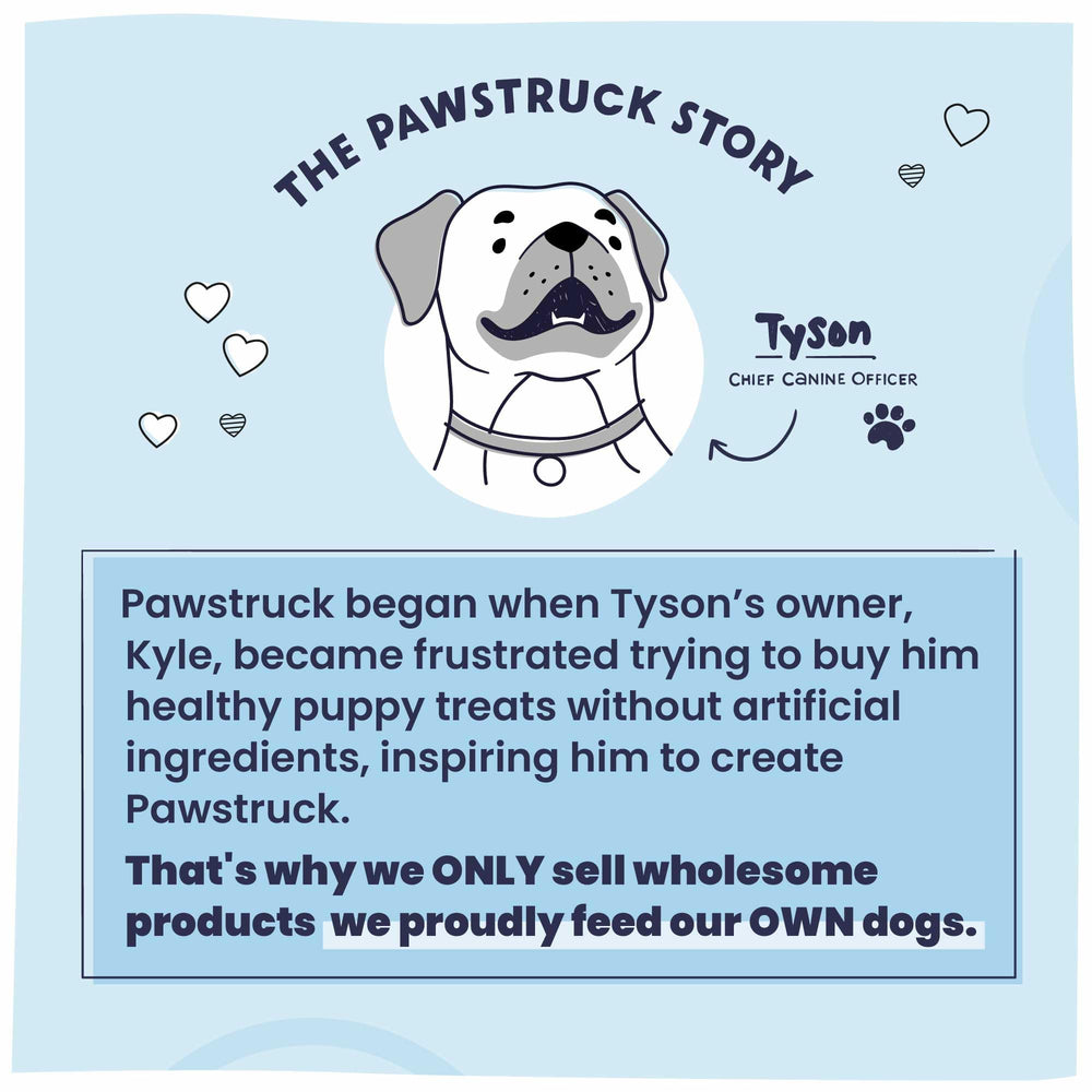 Pawstruck high-protein 2lb bag demonstrates nutrient-dense meal option for dogs.