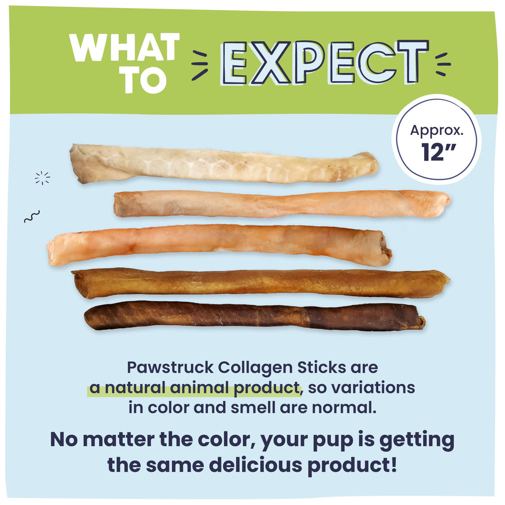 Pawstruck packaging variety design during design refresh.