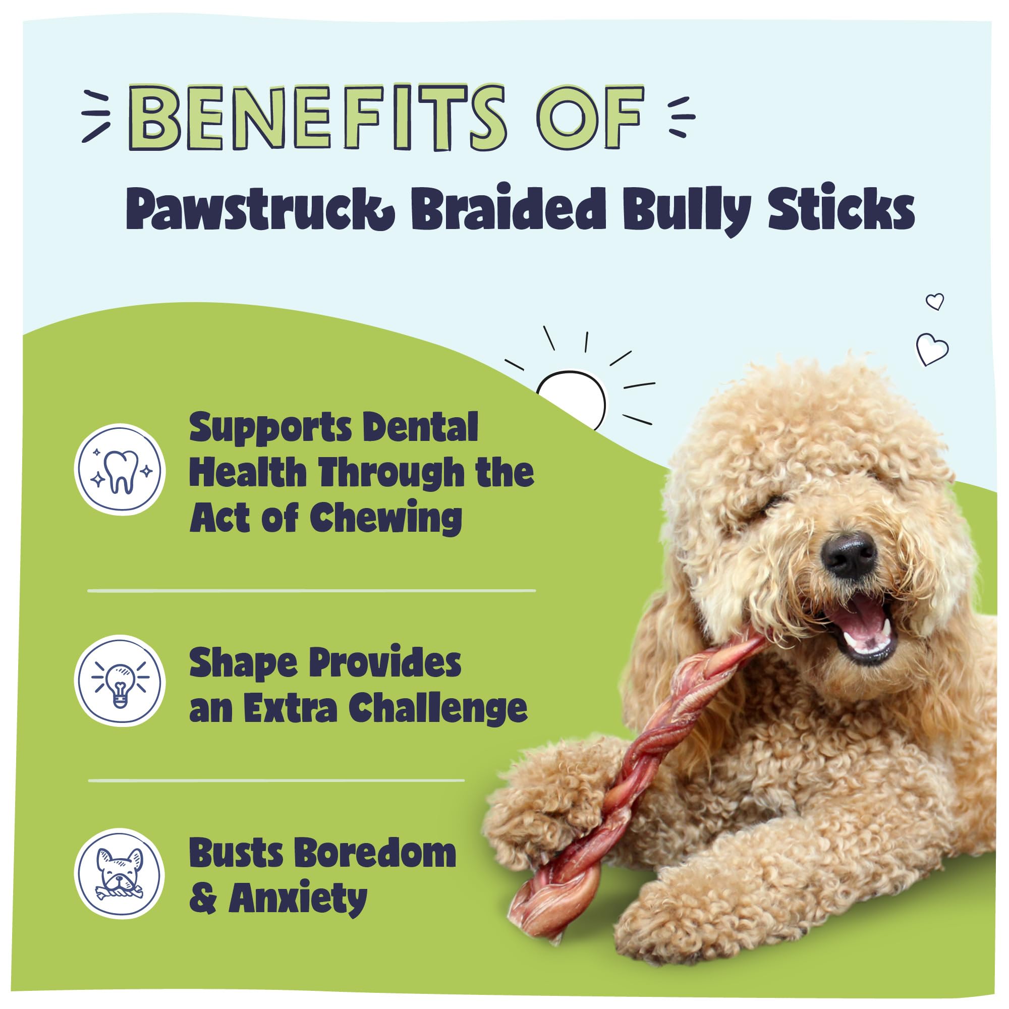 Pawstruck rawhide-free dog chew with natural beef flavor for dental-friendly fun.