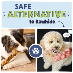 Pawstruck single-ingredient beef-chew delivers pure protein for dogs.