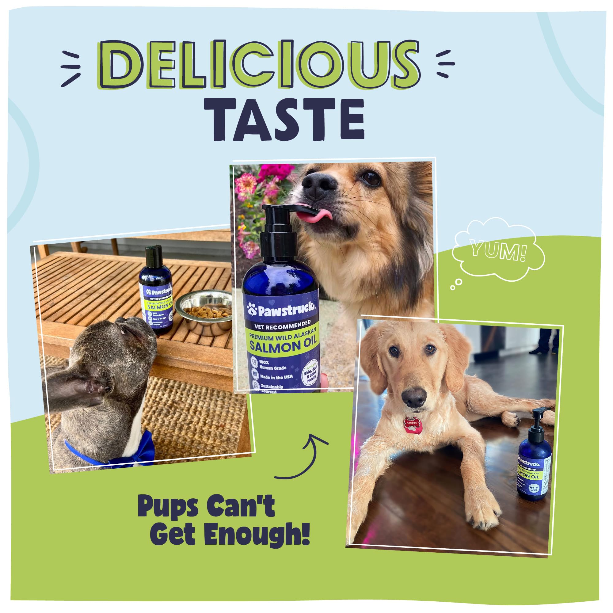 Pawstruck small-business care shown by pets enjoying meals with oil.
