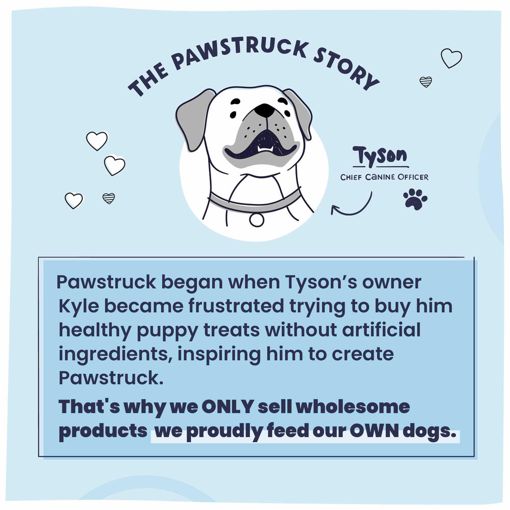 Pawstruck: experiencia de entrenamiento y recompensa durante paseos.