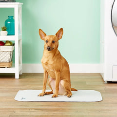Pet Parents Pawtect Pad travel-ready design offers portable, washable protection on trips