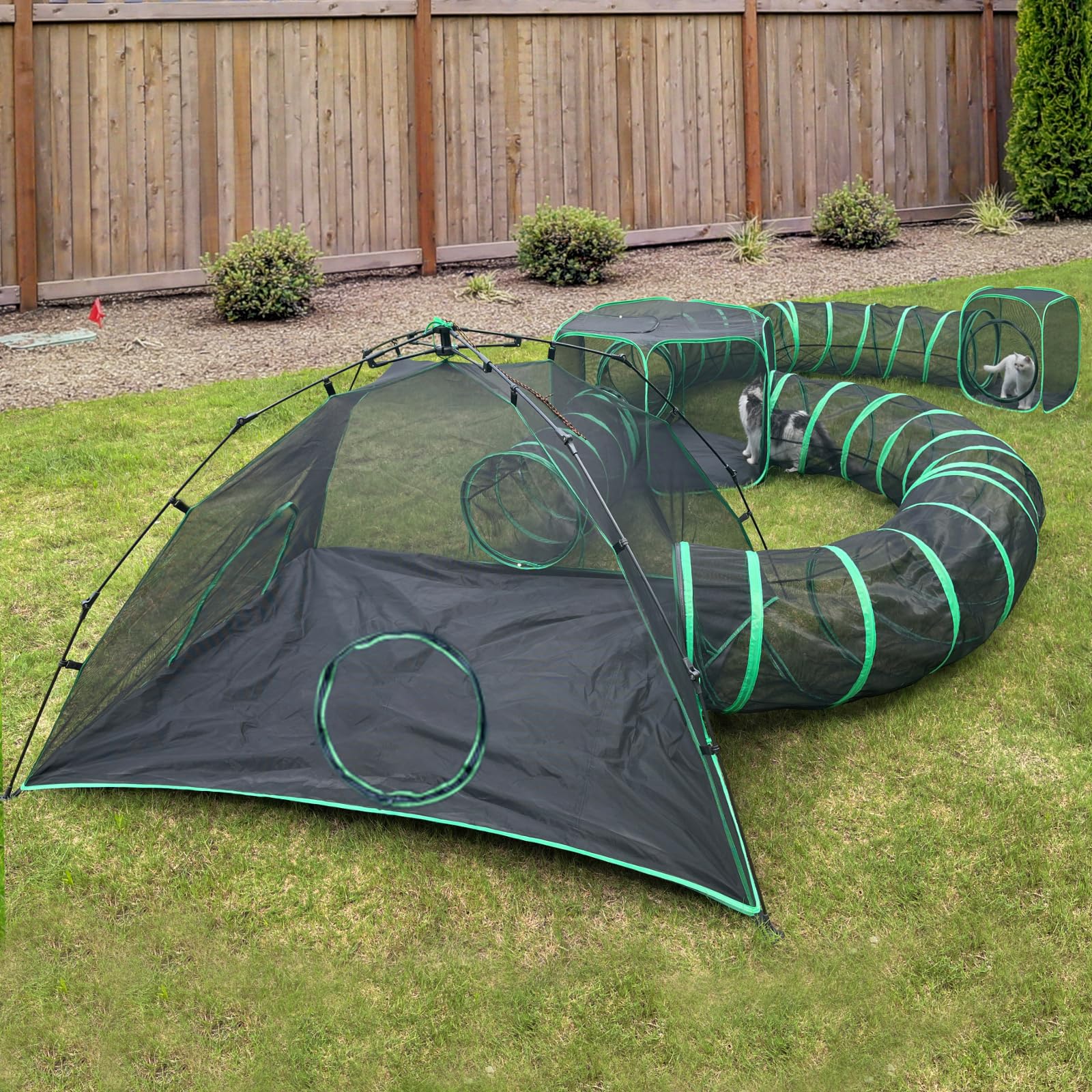 Pawtenda outdoor cat camp in a sunny yard, showing a safe expandable space for curious cats