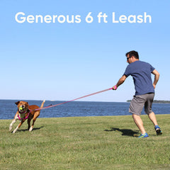 Pawtitas camo pink dog leash reflective-strip enhances visibility in low light.