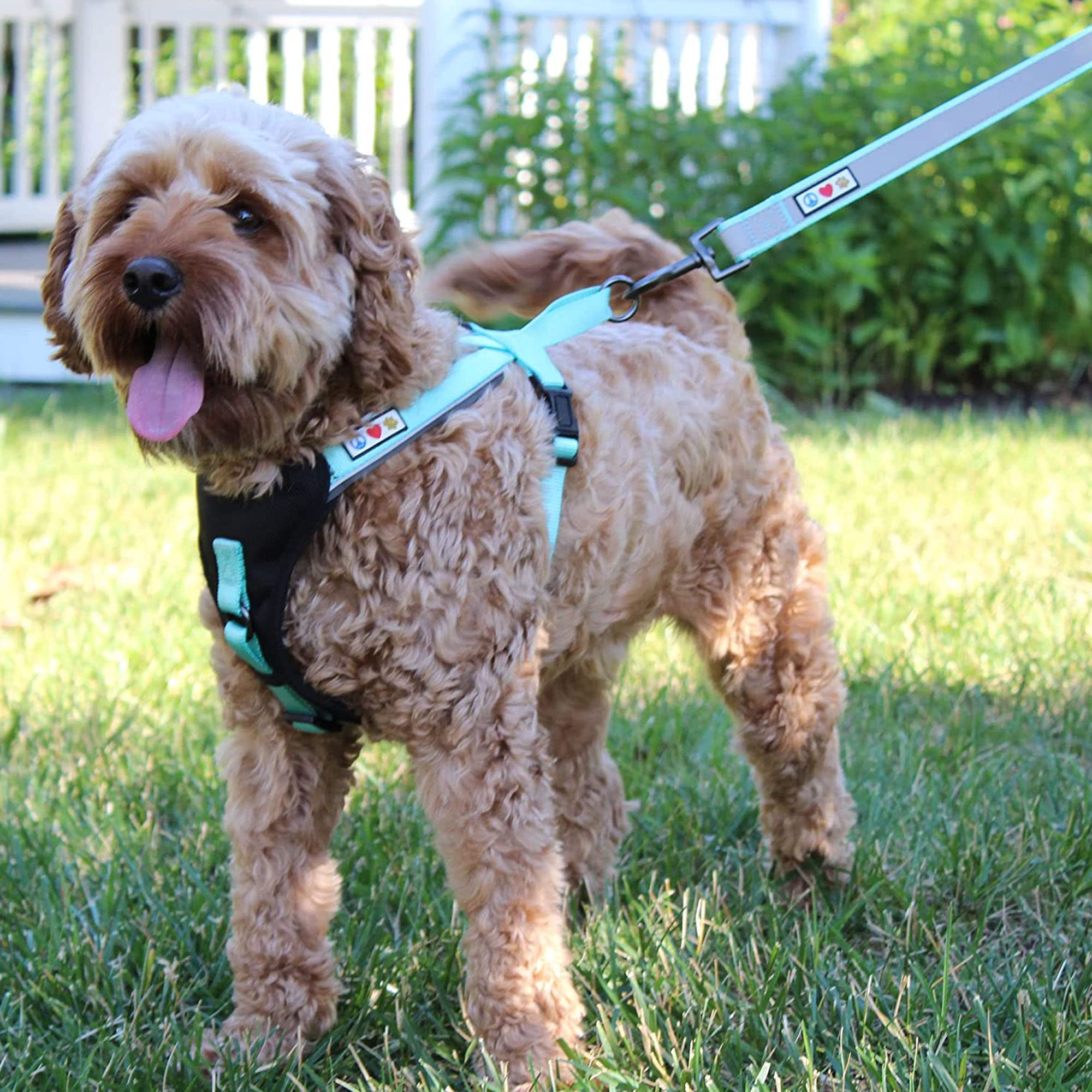 Pawtitas camo pink dog leash embroidered-name and phone for quick ID.