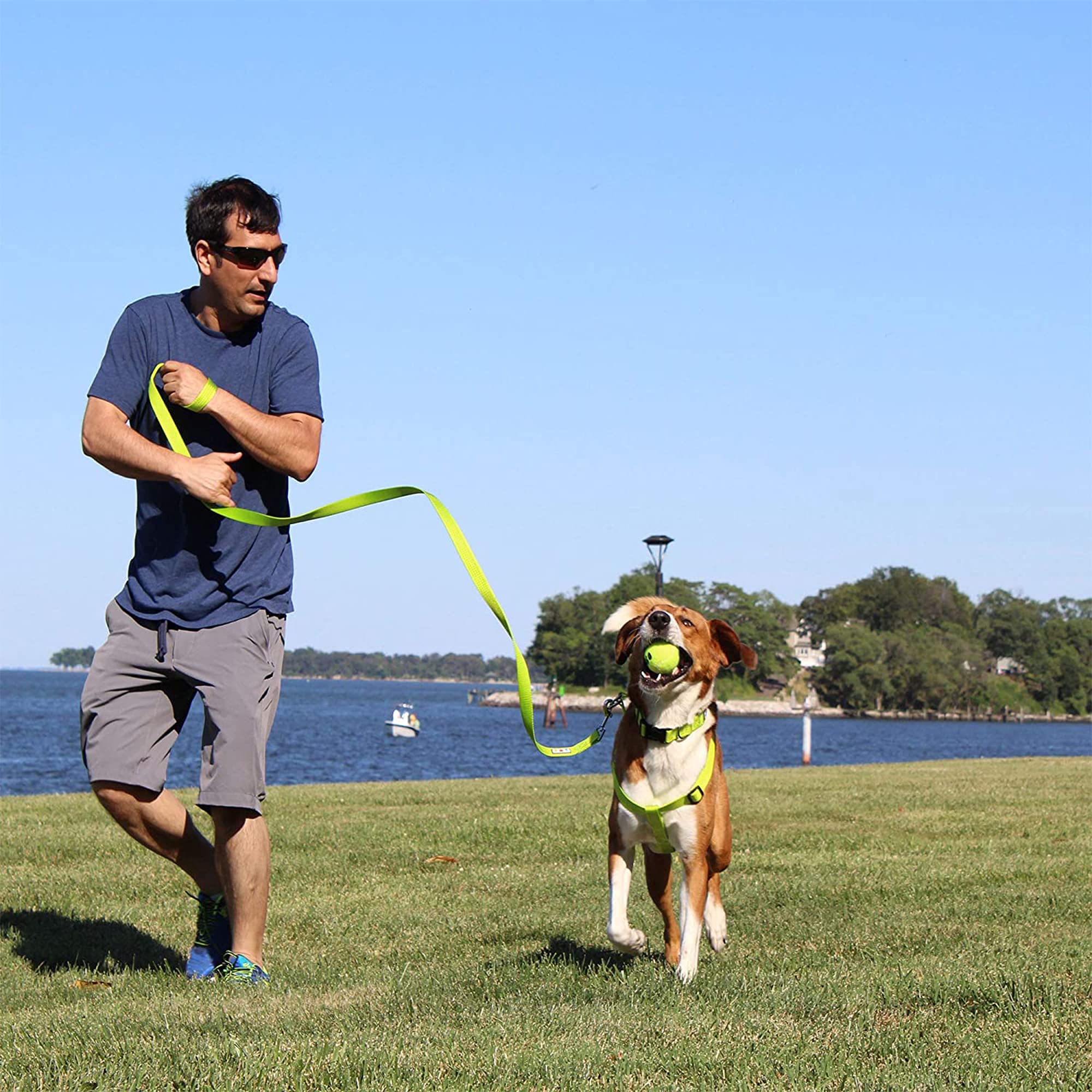 Pawtitas leash ideal for city walks and training.