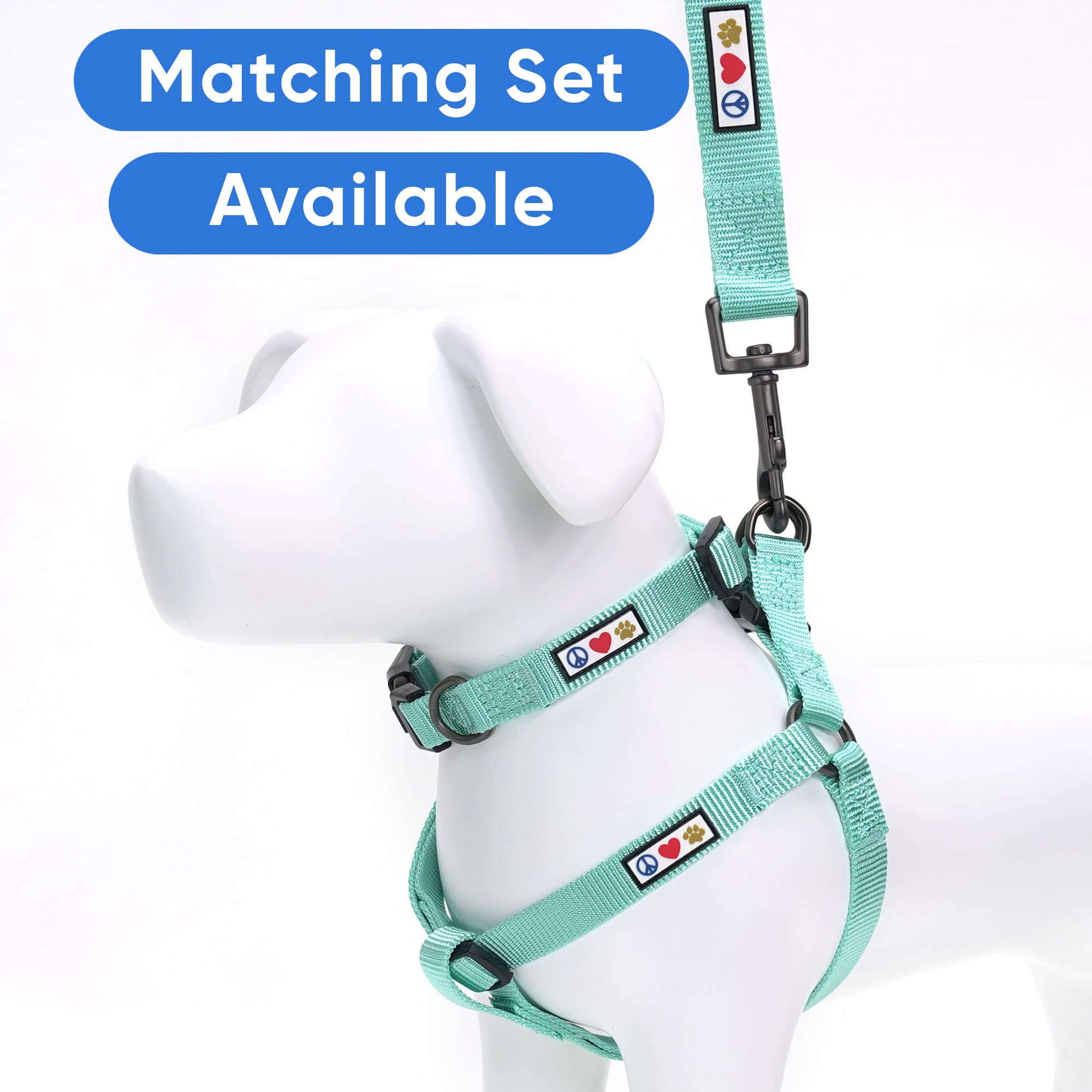 Pawtitas teal leash offers color options to suit personality.