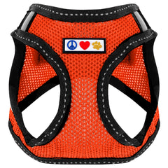 Pawtitas dog vest harness back view shows secure fit for extra small dogs