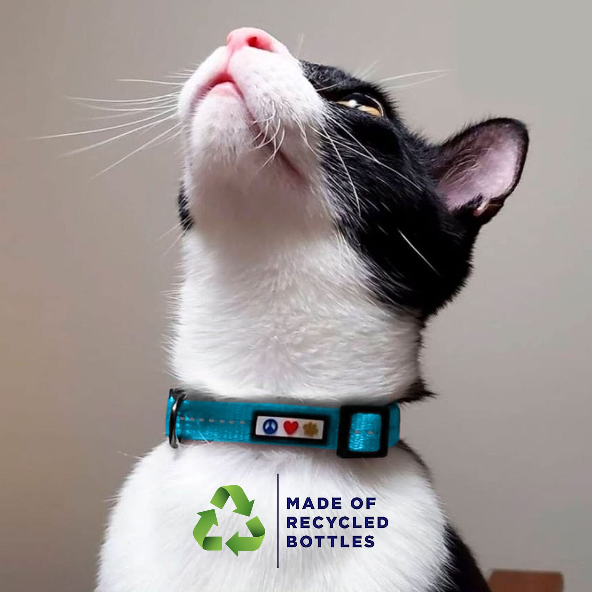 Pawtitas Recycled Green Reflective Cat Collar buckle close-up shows secure breakaway safety feature.