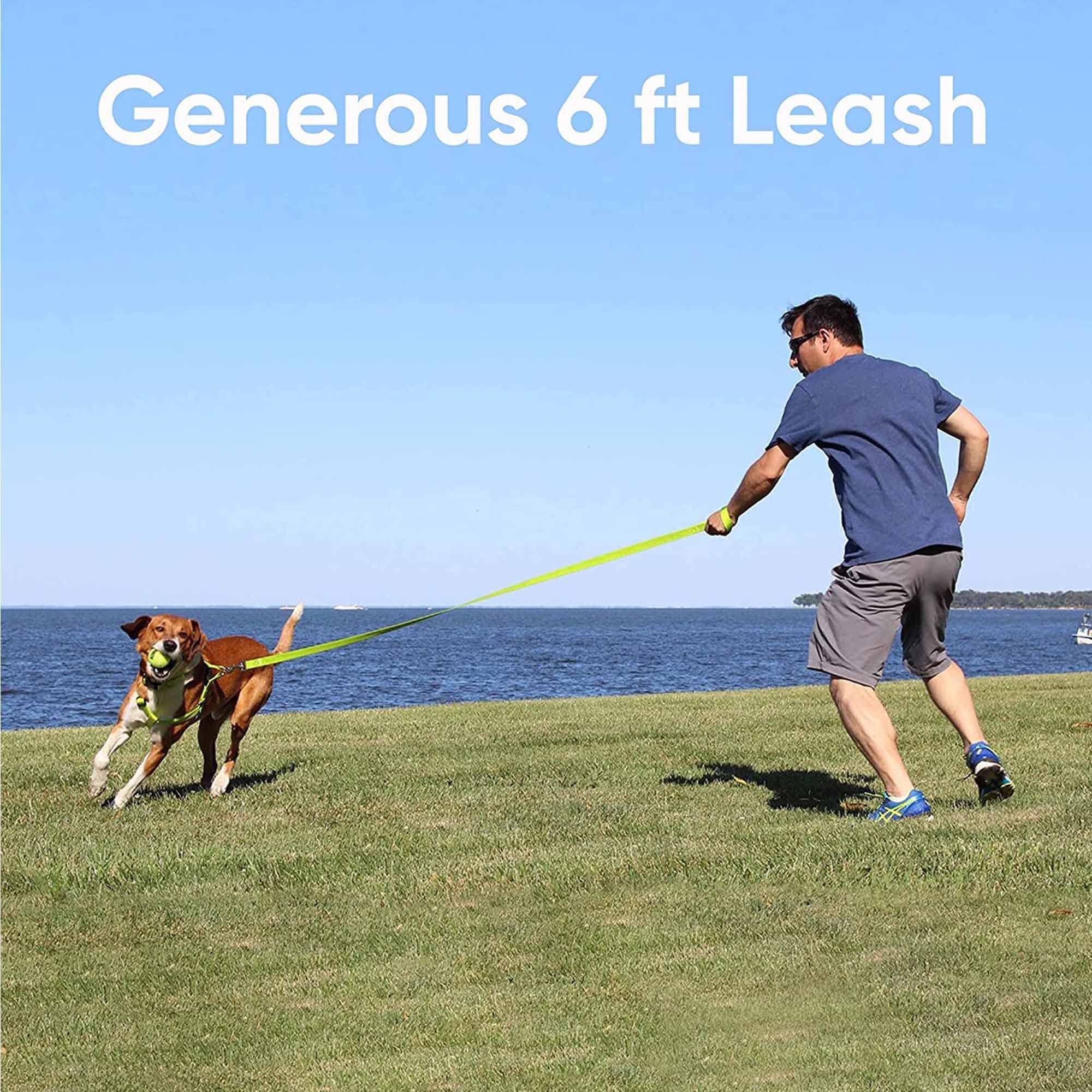 Pawtitas ripstop nylon leash emphasizes durability for daily walks.