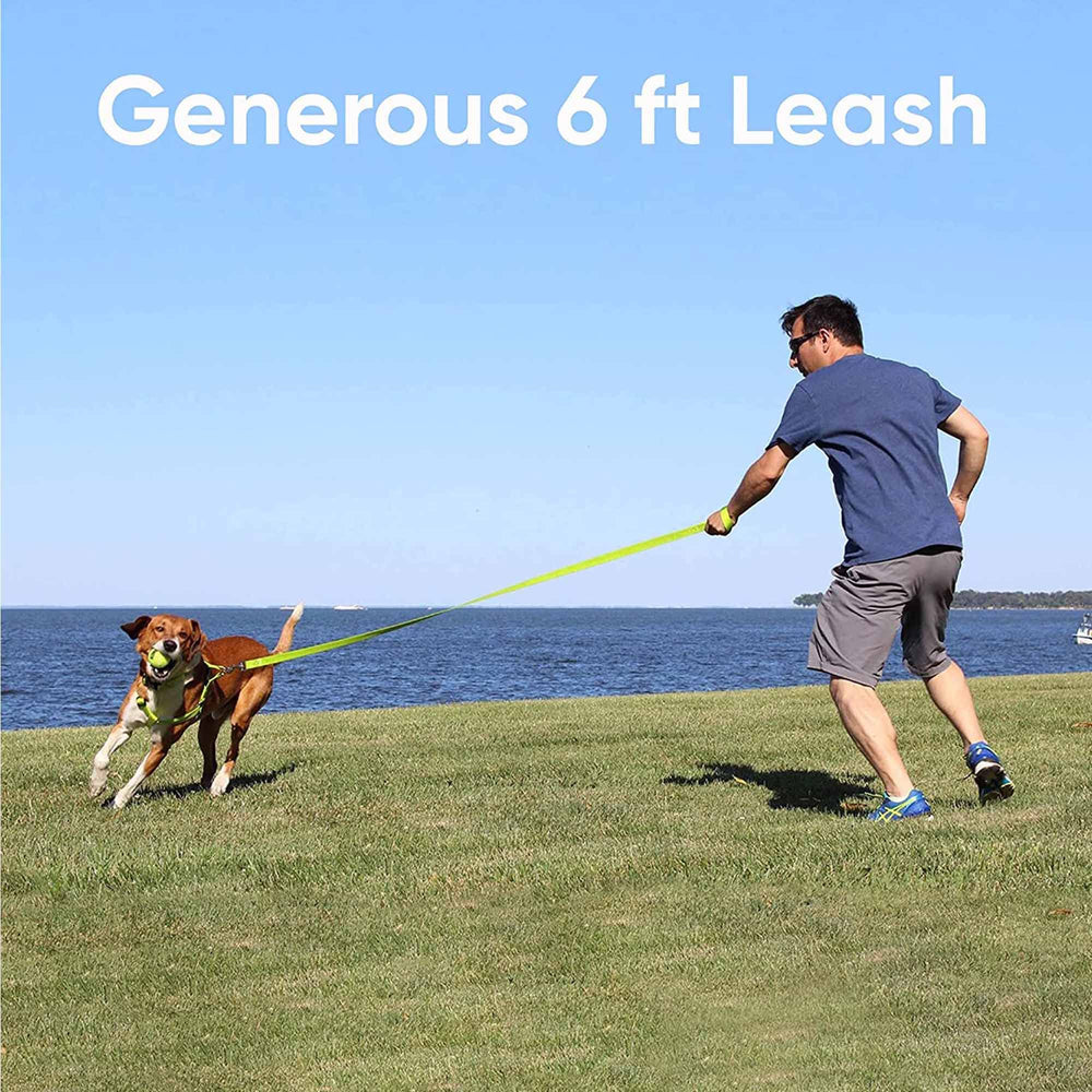 Pawtitas ripstop nylon leash emphasizes durability for daily walks.