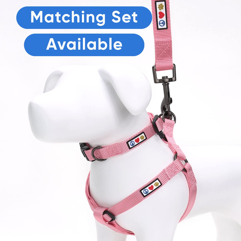 Pawtitas nylon leash detail highlighting reinforced construction for larger breeds.