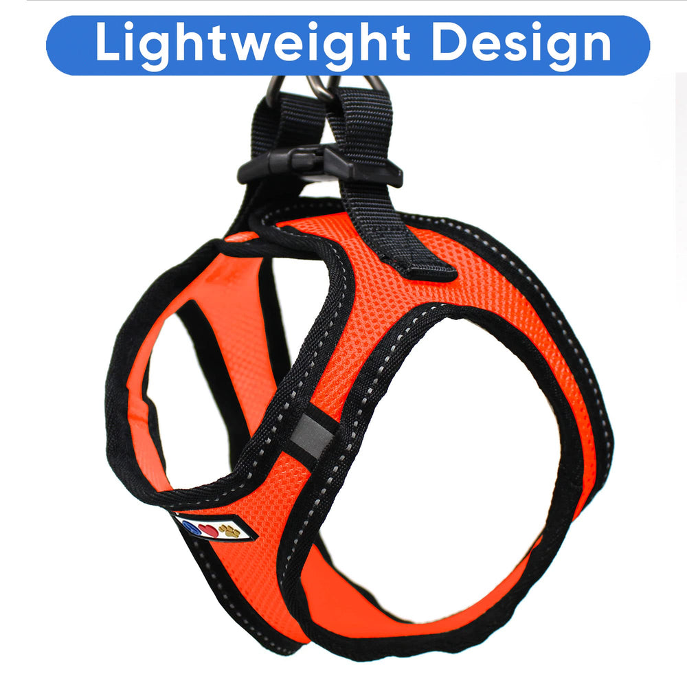 Pawtitas step-in design enables natural walking without weight on shoulders
