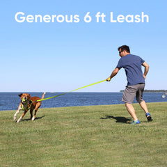 Pawtitas Teal Dog Leash comfort handle for a comfortable grip