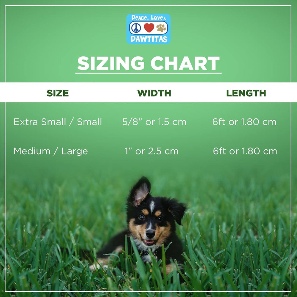 Pawtitas 6-foot leash ideal for long walks