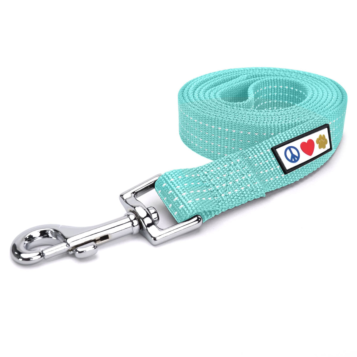 Pawtitas Teal Dog Leash 6 ft XS/S with reflective design for small dogs