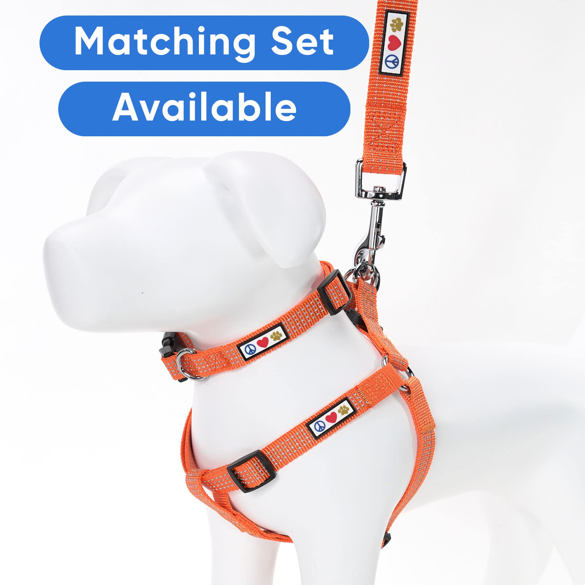 Pawtitas XS/S leash suited for small breeds like Yorkies