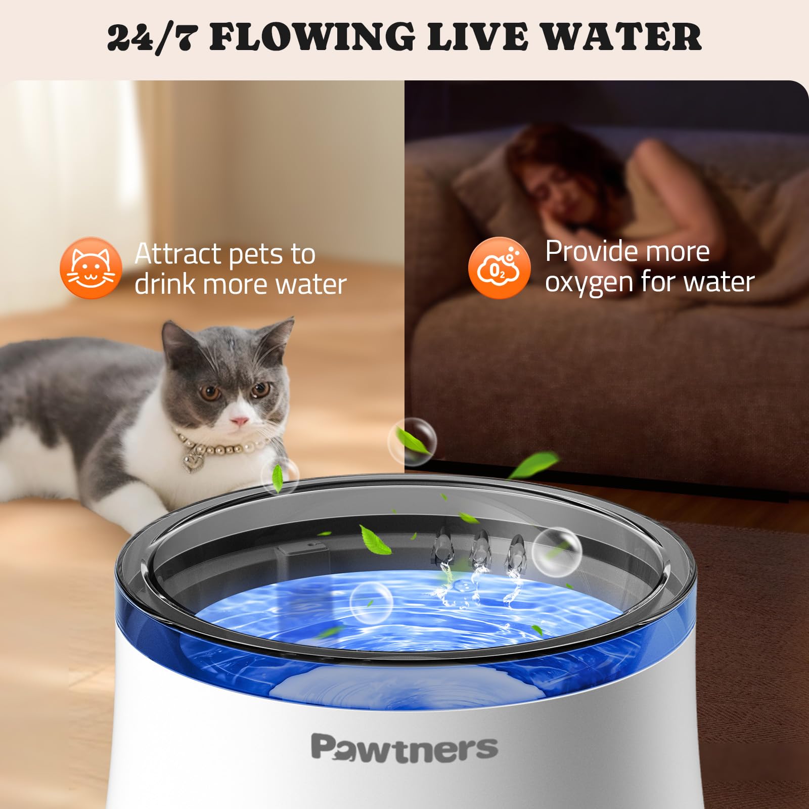 Pawtners 1-gallon reservoir supports extended hydration for multi-pet homes.