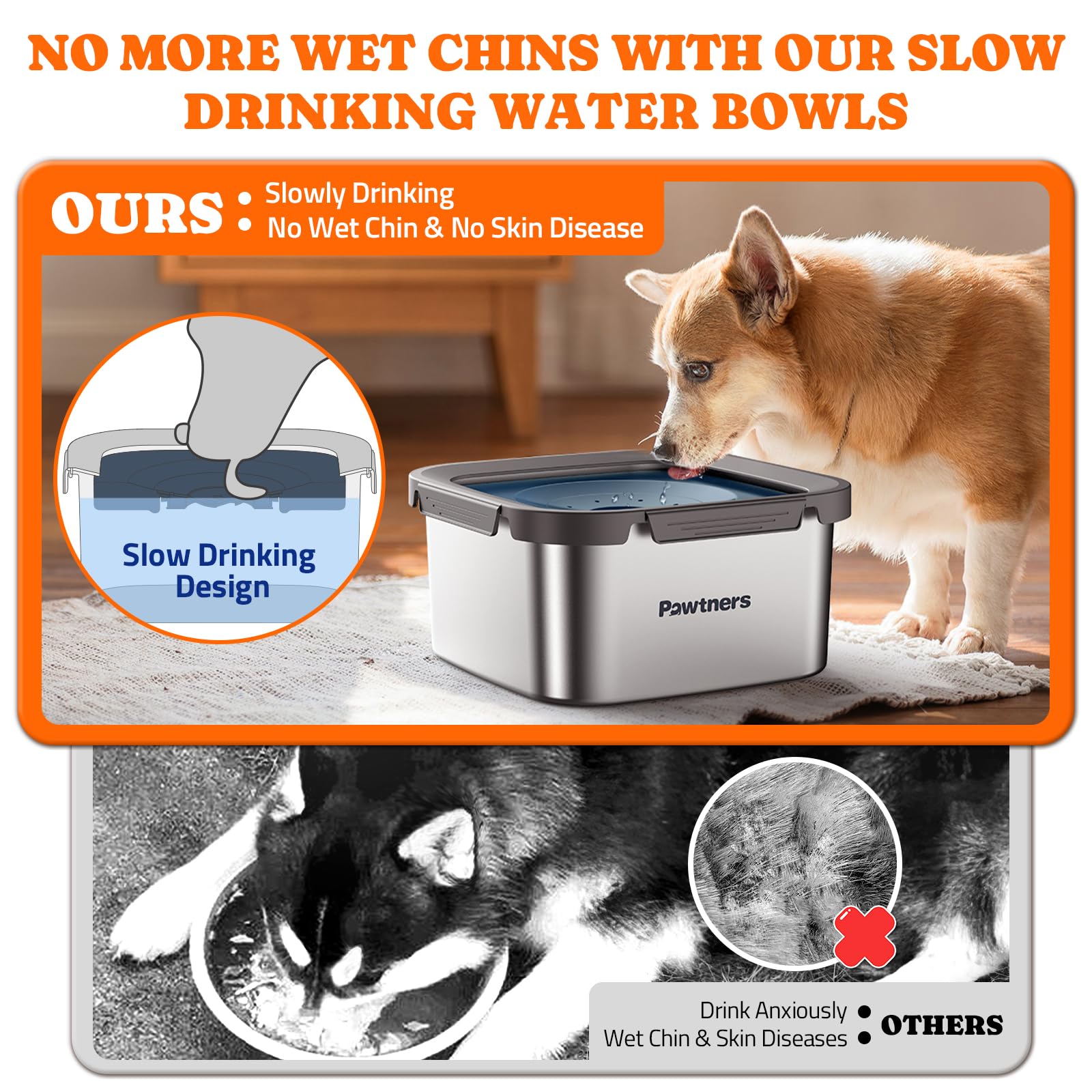 Pawtners spill-proof base prevents splashes, keeping floors clean.
