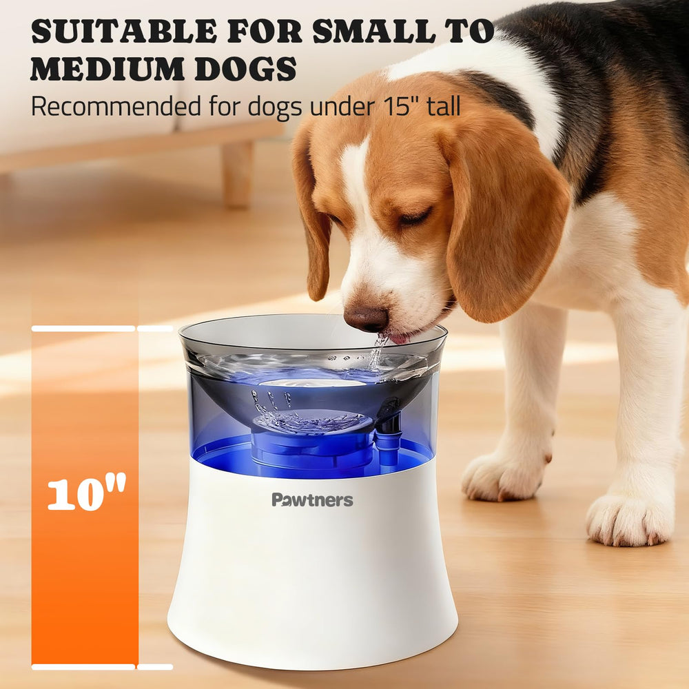 Pawtners elevated drinking height highlights comfortable posture during hydration.