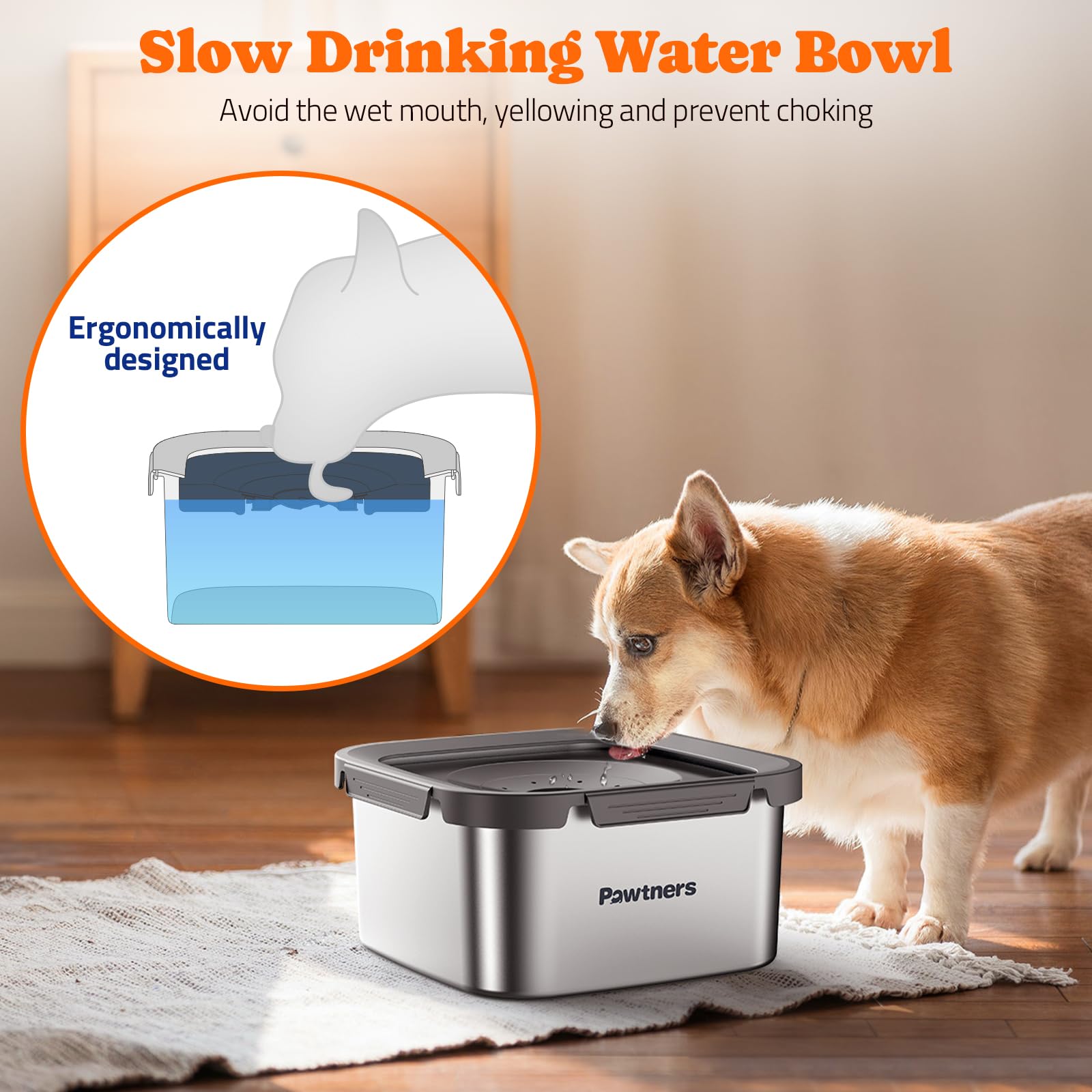 Pawtners floating disk automatic adjustment slows drinking for controlled flow