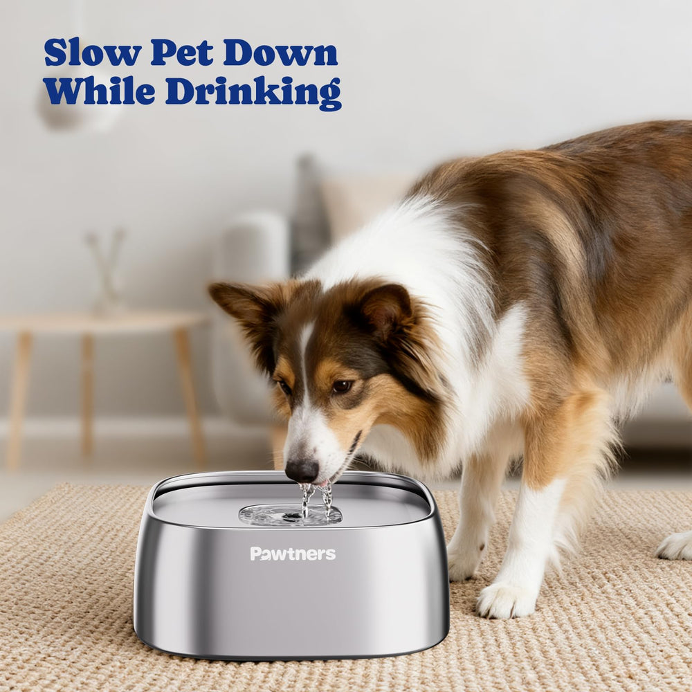 Pawtners large 4L capacity image suitable for medium to large dogs.