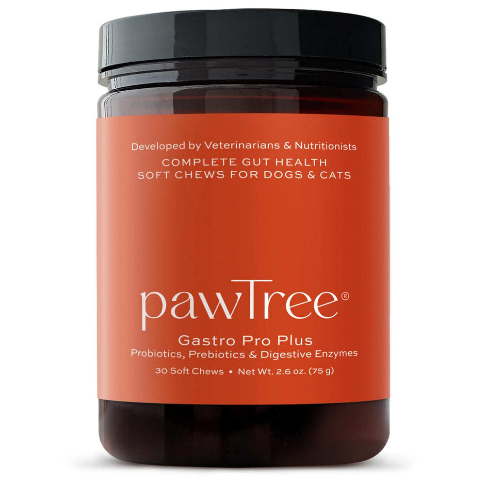 pawTree Gastro Pro Plus bottle front highlighting probiotic formula for digestive support.