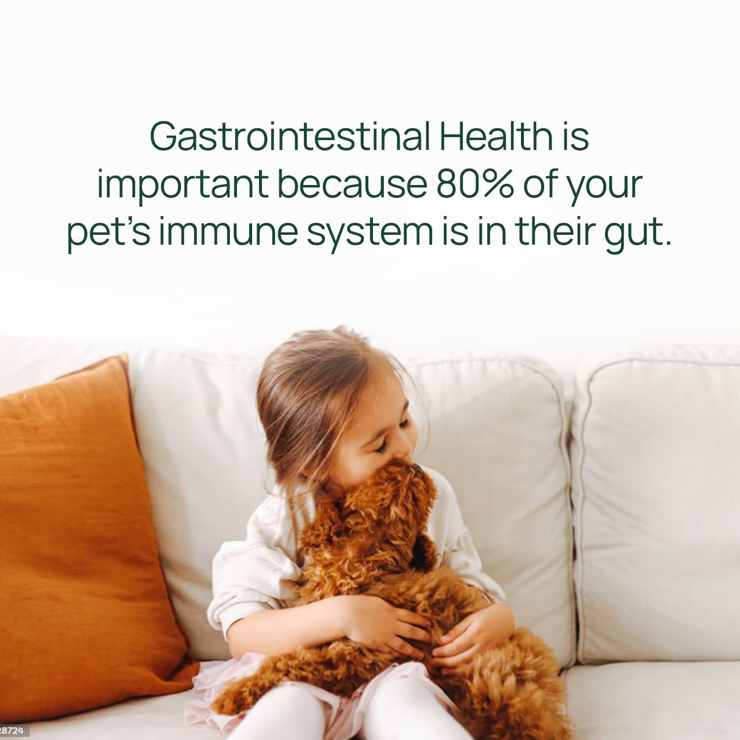 pawTree Gastro Pro Plus cat-friendly serving in bowl indicating digestive support.