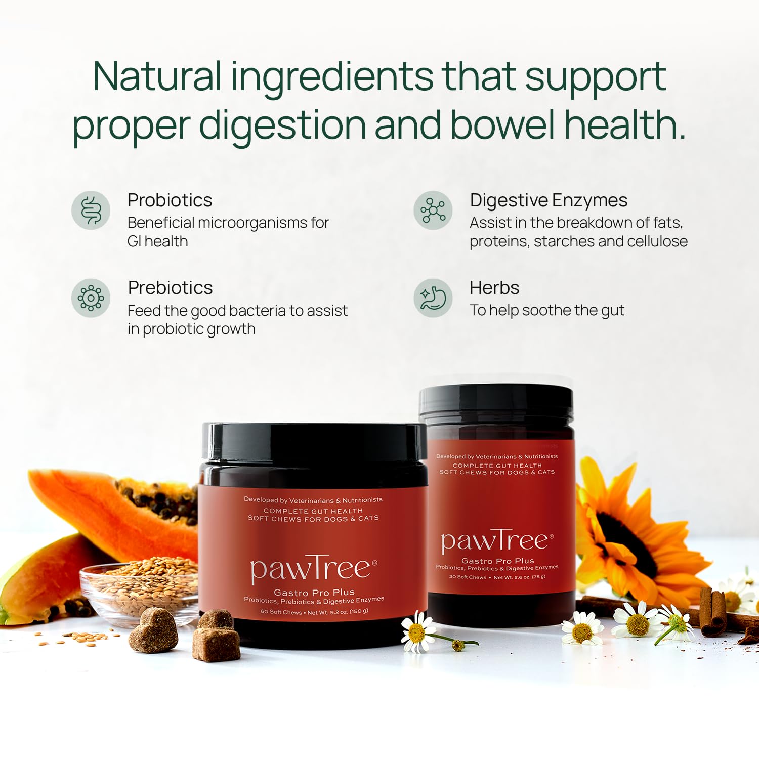 pawTree Gastro Pro Plus label close-up emphasizing prebiotics, probiotics and enzymes for gut health.