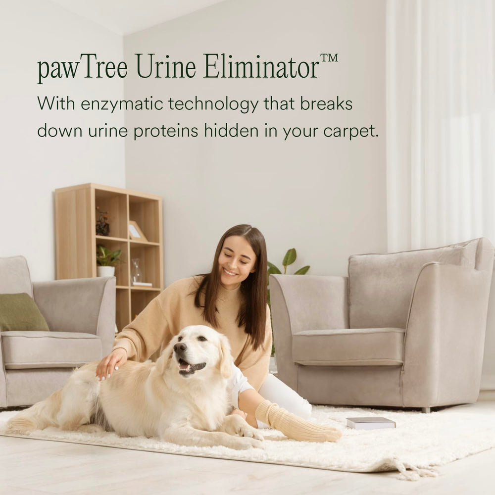 pawTree Urine Eliminator on carpet spot shows rapid odor neutralization.