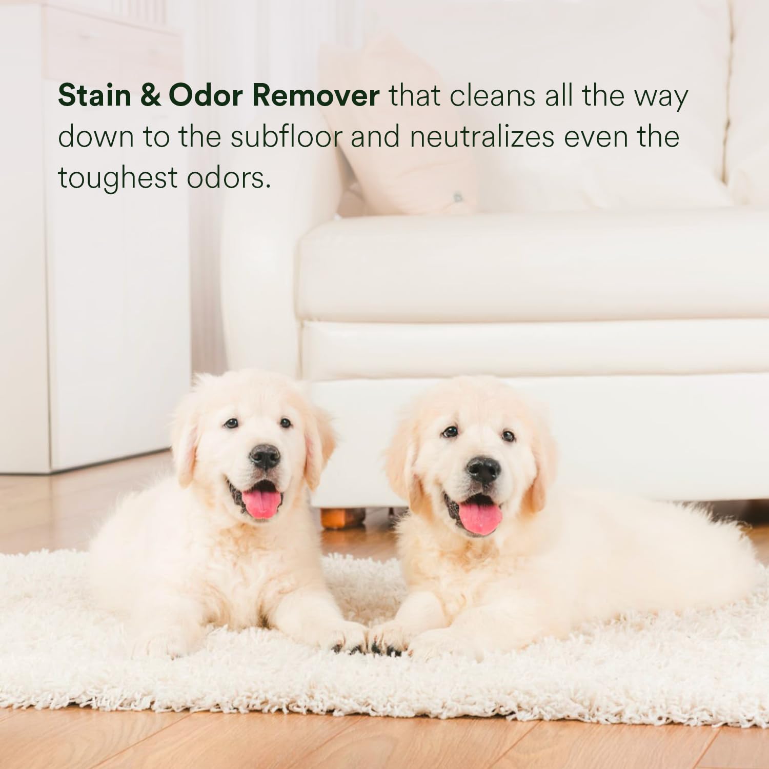 pawTree Urine Eliminator beside upholstery illustrates safe use on fabrics.