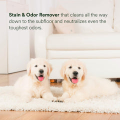 pawTree Urine Eliminator beside upholstery illustrates safe use on fabrics.
