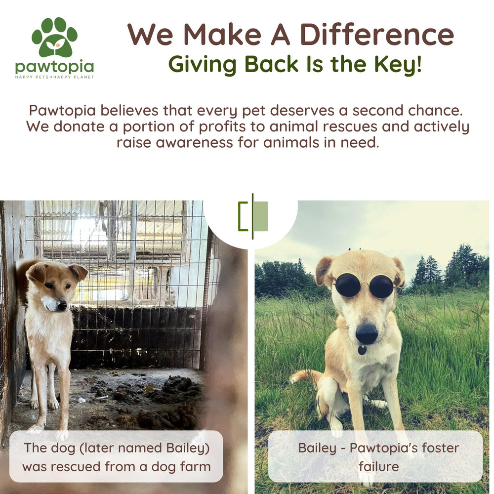 Pawtria recyclable packaging and cores support zero-waste goals