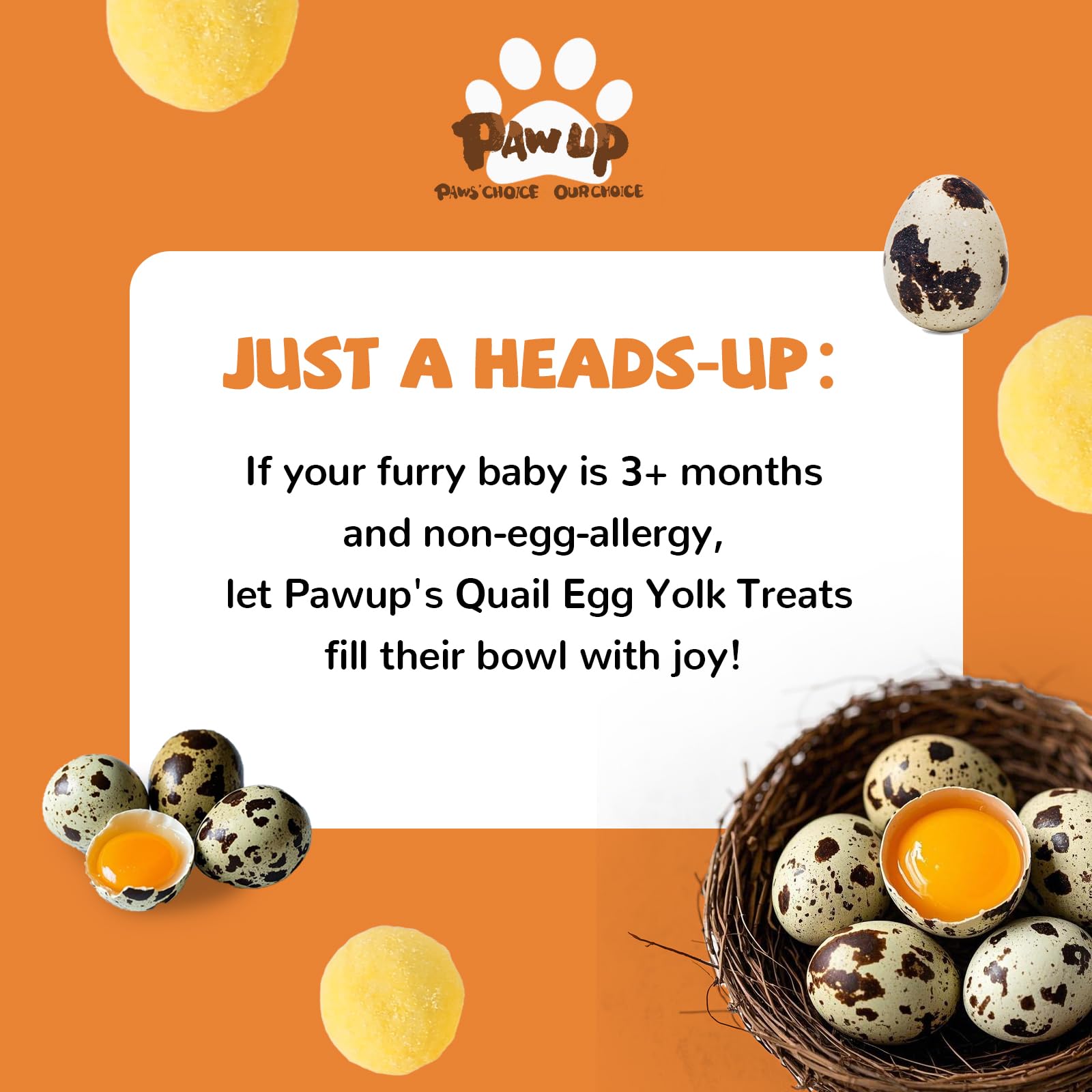 PAWUP 4-2-oz packaging shows convenient portion size for on-the-go feeding.