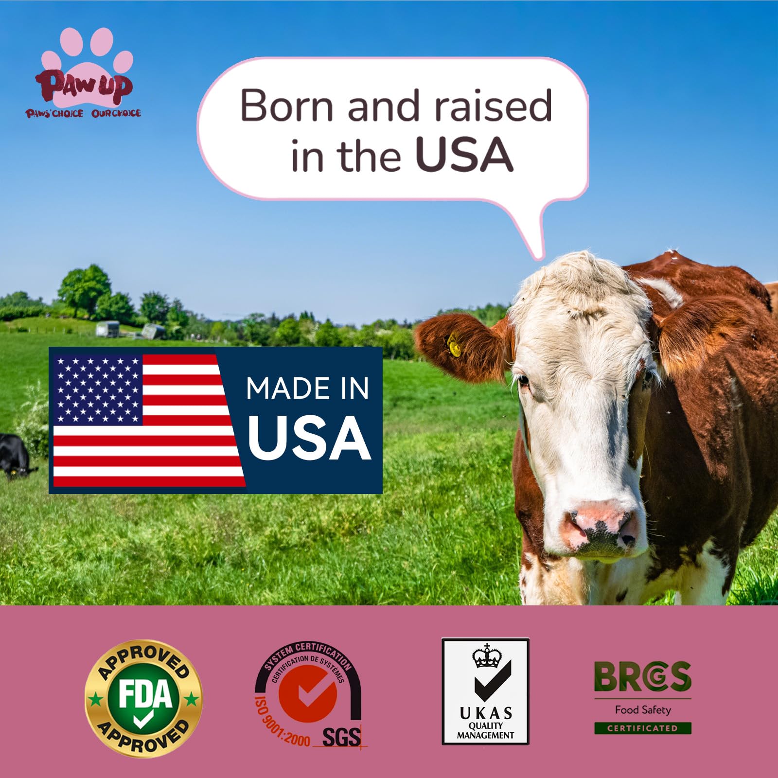 PAWUP beef lung jerky half-cubes ideal for easy training rewards.