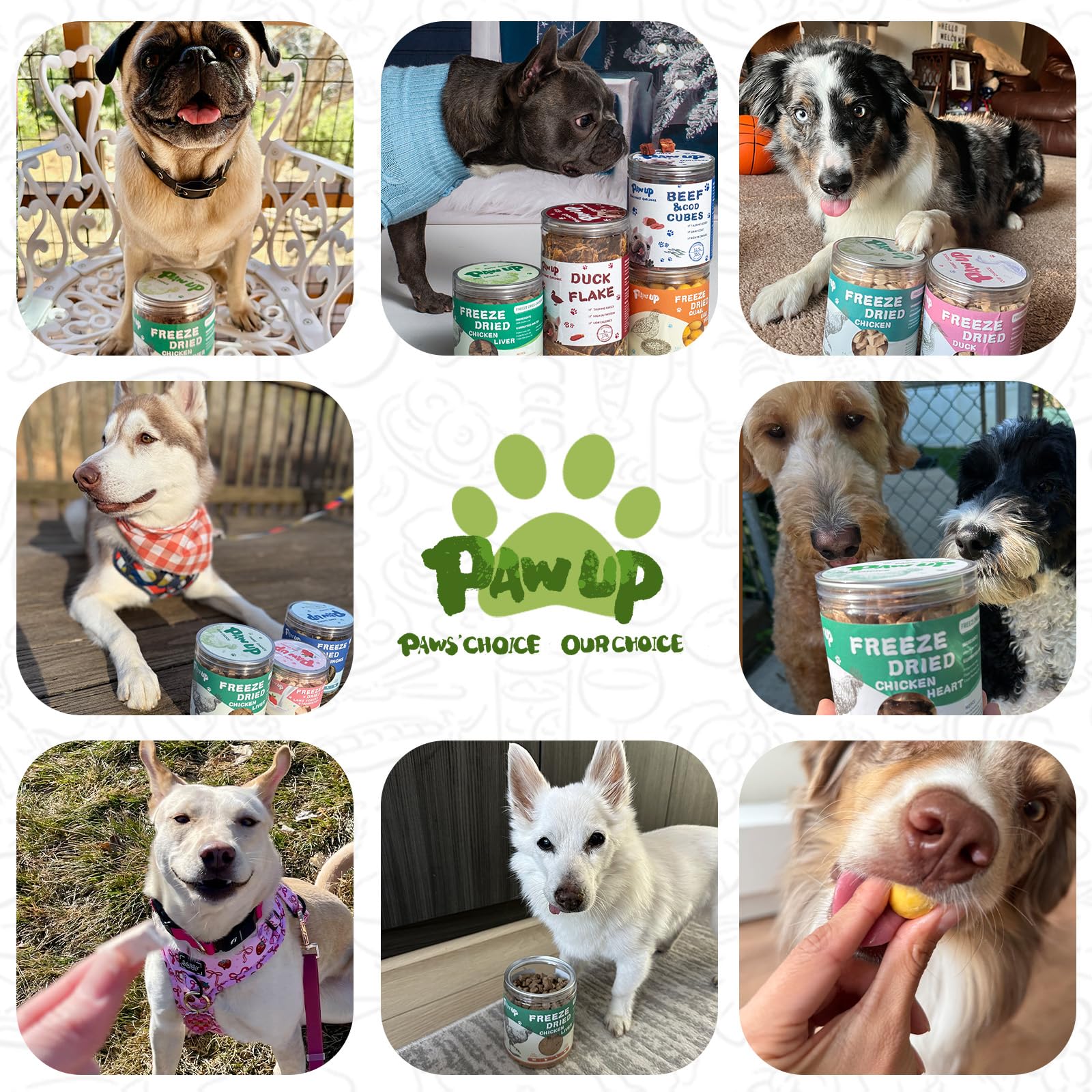 PAWUP chicken neck pet-snack-time image conveys convenient daily rewards