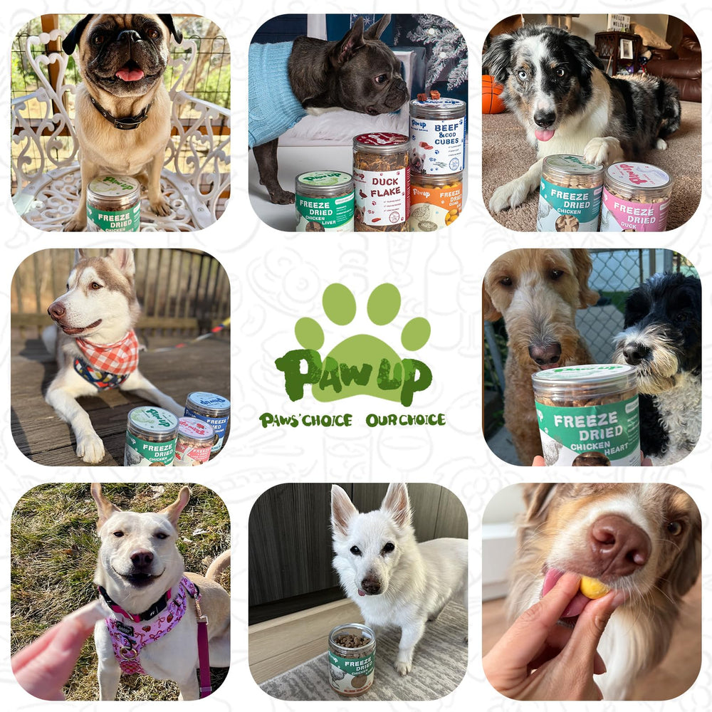 PAWUP chicken neck pet-snack-time image conveys convenient daily rewards