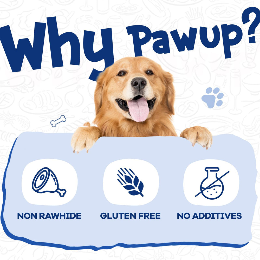 PAWUP Cod Skin Dog Treats dog enjoying chew shows rewarding use.