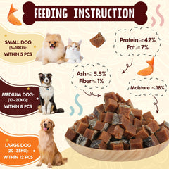 PAWUP Dog Training Treats jar – convenient dispenser for quick rewards