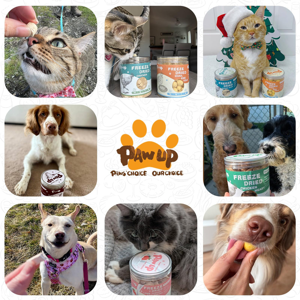 PAWUP single-ingredient liver treats highlight pure meat flavor with no fillers.